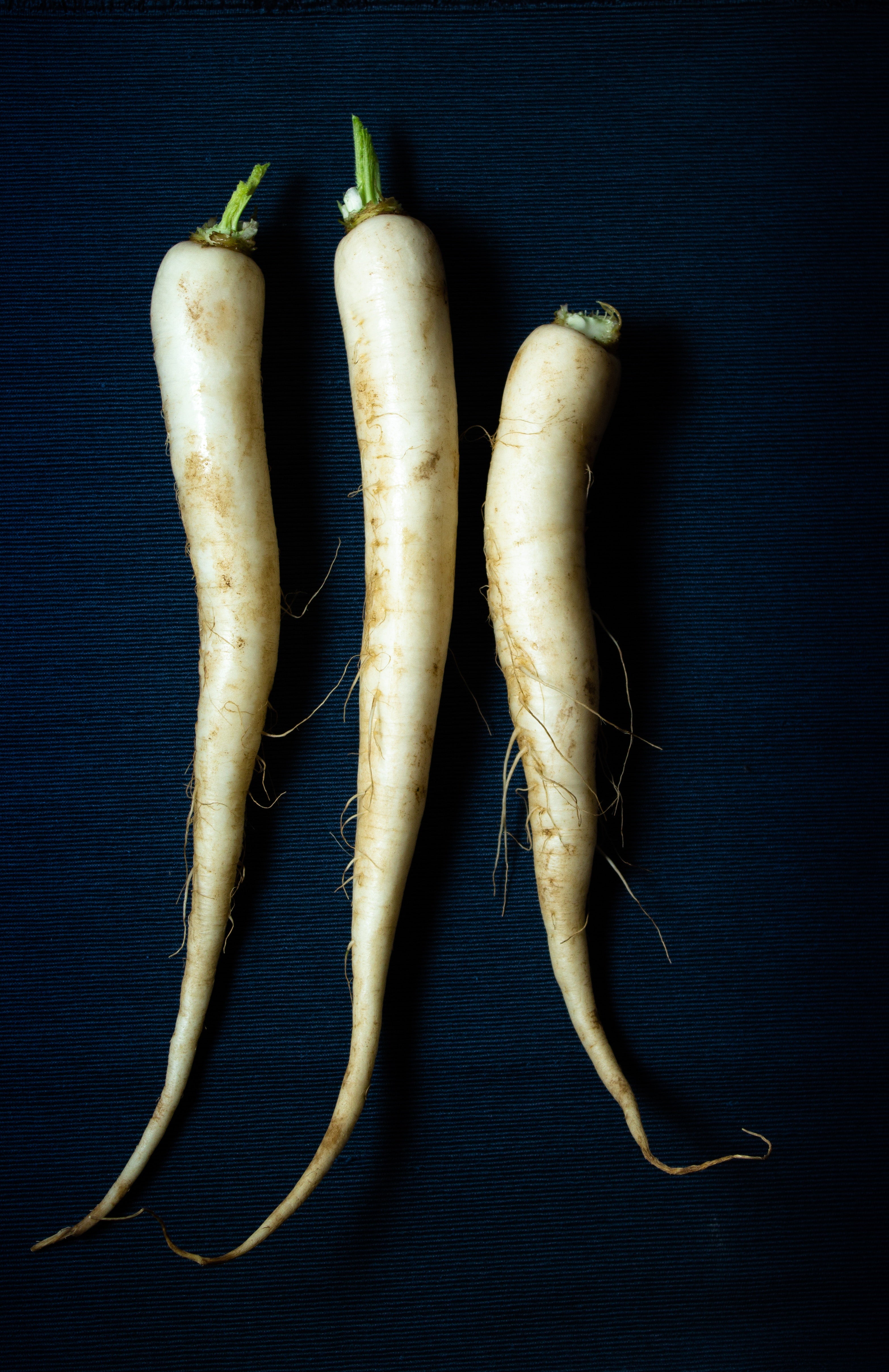 Radish-ical Delights: Rooting for Health and Flavor with 3 Savory Radish-Centric Dishes